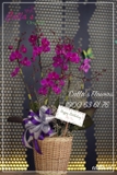 Hoa Sinh Nhật - TT-002-Mini HBBD