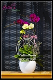 Hoa sinh nhật - TT-003-Mix