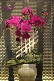 Hoa Tặng Mẹ TT-004-Ti