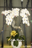 Hoa sinh nhật - TT-005-Tr