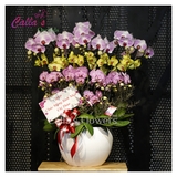 Hoa Sinh Nhật-TT-015-Mix