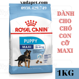 THỨC ĂN HẠT ROYAL CANIN MAXI PUPPY Dành cho chó kích cỡ Maxi (cân nặng tối đa từ 26 - 44kg) và đang trong lứa tuổi Puppy từ 2 đến 15 tháng tuổi. - SP000435