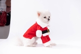 ÁO COSPLAY ÔNG GIÀ NOEL CHO CHÓ MÈO - SP007872
