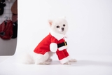 ÁO COSPLAY ÔNG GIÀ NOEL CHO CHÓ MÈO - SP007872