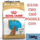 THỨC ĂN HẠT ROYAL CANIN POODLE PUPPY DÀNH RIÊNG CHO GIỐNG CHÓ POODLE DƯỚI 10 THÁNG TUỔI - SP000425