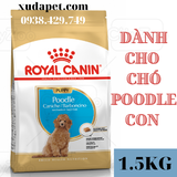 THỨC ĂN HẠT ROYAL CANIN POODLE PUPPY DÀNH RIÊNG CHO GIỐNG CHÓ POODLE DƯỚI 10 THÁNG TUỔI - SP000425