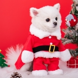 ÁO COSPLAY ÔNG GIÀ NOEL CHO CHÓ MÈO - SP007872