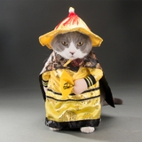 ÁO COSPLAY HOÀNG THƯỢNG CHO CHÓ MÈO - SP007329