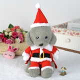 ÁO COSPLAY ÔNG GIÀ NOEL CHO CHÓ MÈO - SP007872
