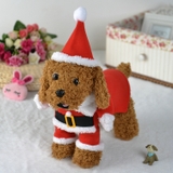 ÁO COSPLAY ÔNG GIÀ NOEL CHO CHÓ MÈO - SP007872