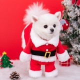 ÁO COSPLAY ÔNG GIÀ NOEL CHO CHÓ MÈO - SP007872