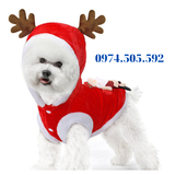 ÁO NOEL CÂY THÔNG CHO CHÓ MÈO HÓA TRANG DỊP LỄ GIÁNG SINH 