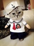 ÁO COSPLAY THỦY THỦ CHO CHÓ MÈO - SP007341