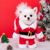 ÁO COSPLAY ÔNG GIÀ NOEL CHO CHÓ MÈO - SP007872