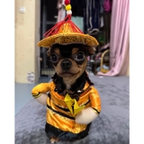 ÁO COSPLAY HOÀNG THƯỢNG CHO CHÓ MÈO - SP007329