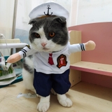 ÁO COSPLAY THỦY THỦ CHO CHÓ MÈO - SP007341