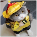 ÁO COSPLAY HOÀNG THƯỢNG CHO CHÓ MÈO - SP007329