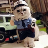 ÁO COSPLAY CẢNH SÁT TRUNG CHO CHÓ MÈO - SP007337