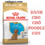 THỨC ĂN HẠT ROYAL CANIN POODLE PUPPY DÀNH RIÊNG CHO GIỐNG CHÓ POODLE DƯỚI 10 THÁNG TUỔI - SP000425