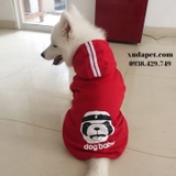 ÁO HOODIE CHO CHÓ LỚN DOG BABY - SP000611