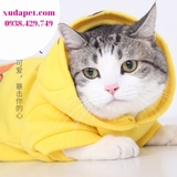 ÁO HOODIE HÌNH VỊT DONALD - SP000561