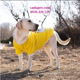 ÁO HOODIE VÀNG HÌNH CHÓ PUG NÓN SỌC- SP000597