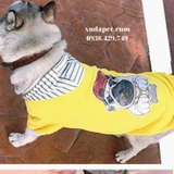 ÁO HOODIE VÀNG HÌNH CHÓ PUG NÓN SỌC- SP000597