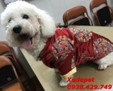 ÁO TẾT CHO CHÓ MÈO VẢI GẤM LỤA CAO CẤP XUDAPET- SP000148