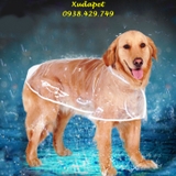 ÁO MƯA TRONG SUỐT CHO CHÓ LỚN TRÊN 12KG - SP005250