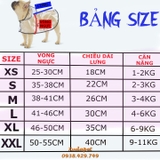 ÁO MƯA TRONG SUỐT CHO CHÓ MÈO DƯỚI 12KG (VIỀN MÀU NGẪU NHIÊN) - SP005245