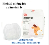 TÃ QUẦN SINH LÝ CHÓ ĐỰC ĐA MÀU XUDAPET - SP000544