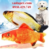 CÁ NHỒI BÔNG 3D TẶNG KÈM CATNIP - SP000316