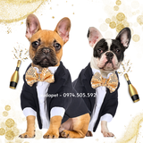 ÁO VEST CHÚ RỂ CHO CHÓ MÈO - SP007884