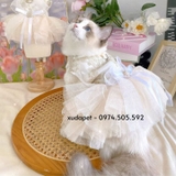 ĐỒ CÔ DÂU CHÚ RỂ CHO CHÓ MÈO