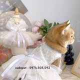 ĐỒ CÔ DÂU CHÚ RỂ CHO CHÓ MÈO