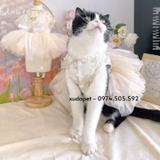 ĐỒ CÔ DÂU CHÚ RỂ CHO CHÓ MÈO