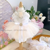 ĐỒ CÔ DÂU CHÚ RỂ CHO CHÓ MÈO