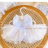 ĐỒ CÔ DÂU CHÚ RỂ CHO CHÓ MÈO