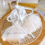 ĐỒ CÔ DÂU CHÚ RỂ CHO CHÓ MÈO