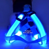 DÂY DẮT YẾM CÓ ĐÈN PHÁT QUANG - SP000212