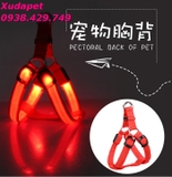 DÂY DẮT YẾM CÓ ĐÈN PHÁT QUANG - SP000212