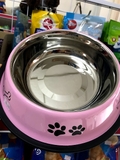 BÁT ĂN ĐƠN CHÓ MÈO INOX MÀU SẮC DỄ THƯƠNG