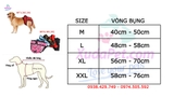 QUẦN LÓT CHO CHÓ LỚN ĐA MÀU - SP005259