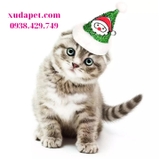 NÓN CHÓP NOEL CHO CHÓ MÈO XUDAPET - SP000537