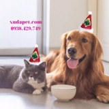 NÓN CHÓP NOEL CHO CHÓ MÈO XUDAPET - SP000537