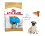 THỨC ĂN ROYAL CANIN PUG PUPPY CHO CHÓ DƯỚI 10 THÁNG TUỔI 500G - SP000027