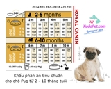 THỨC ĂN ROYAL CANIN PUG PUPPY CHO CHÓ DƯỚI 10 THÁNG TUỔI 500G - SP000027