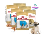 THỨC ĂN ROYAL CANIN PUG PUPPY CHO CHÓ DƯỚI 10 THÁNG TUỔI 500G - SP000027