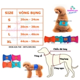 TẢ VẢI SINH LÝ CHO CHÓ ĐỰC HÌNH DẤU CHÂN DOGSTYLE (MÀU NGẪU NHIÊN) - SP005384