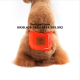 TẢ VẢI SINH LÝ CHO CHÓ ĐỰC HÌNH DẤU CHÂN DOGSTYLE (MÀU NGẪU NHIÊN) - SP005384